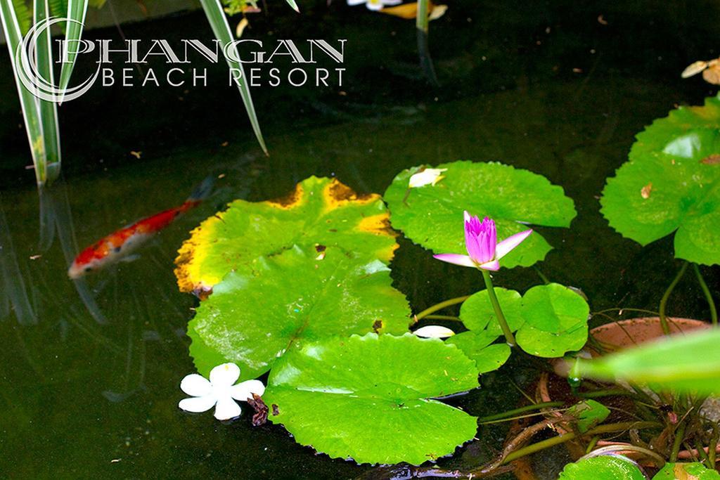 Phangan Beach Resort Baan Tai Bagian luar foto